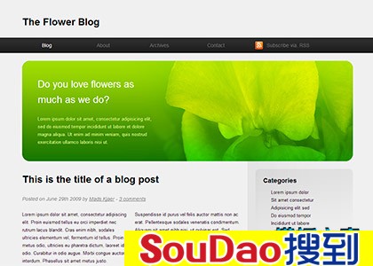 ɫ,,Ӣ,ó,׼,ר,html5,