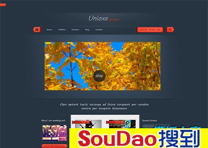 ,ɫ,,ʸ,,blog,վ,ɫ,ɫ,õ,˵,ҳ,չʾ,Ư,