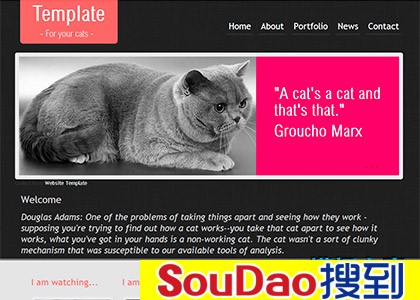 ɫ,ɫ,Ư,,è,,ɰ,è,ҵ,html5