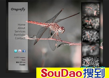 Ӱ,,,,չʾ,ҵ,,Ʒ,խ,web,,,ɫ