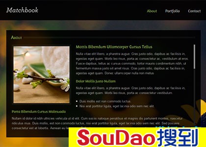 ɫ,,flash,,jquery,,Ҿ,ҵ,