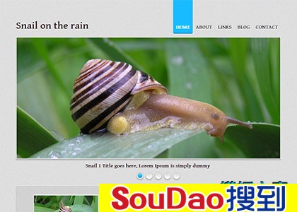 ɫ,˺ģ,õ,ͼ,,,html5