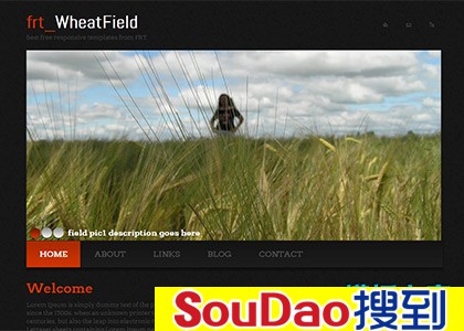 ɫ,html5,õ,ͼ,Ӱ,ͼƬ,չʾ